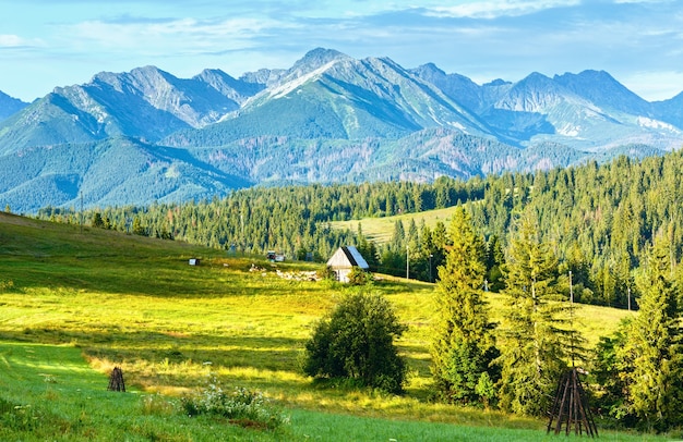 Summer mountain village outskirts with barn and flock of sheep near Tatra range behind, Poland