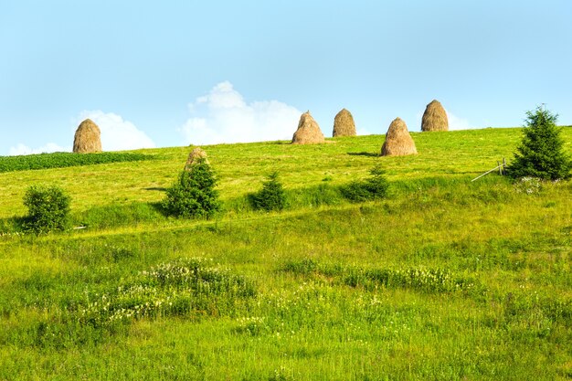 Summer mountain village outskirts with haystacks on field (Carpathian, Ukraine)