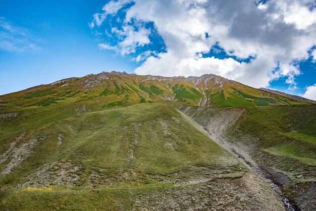 Summer mountains green grass and blue sky landscape