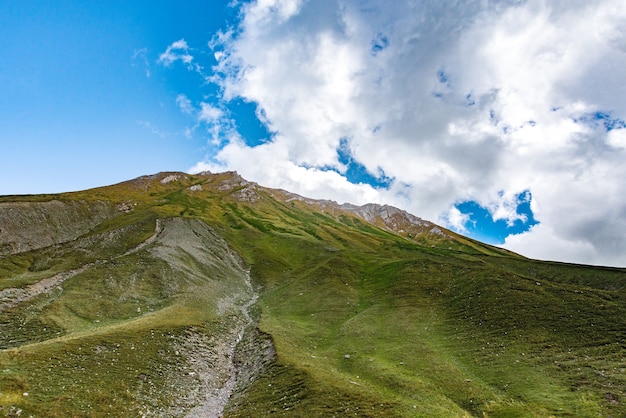 Erba verde delle montagne di estate e paesaggio del cielo blu