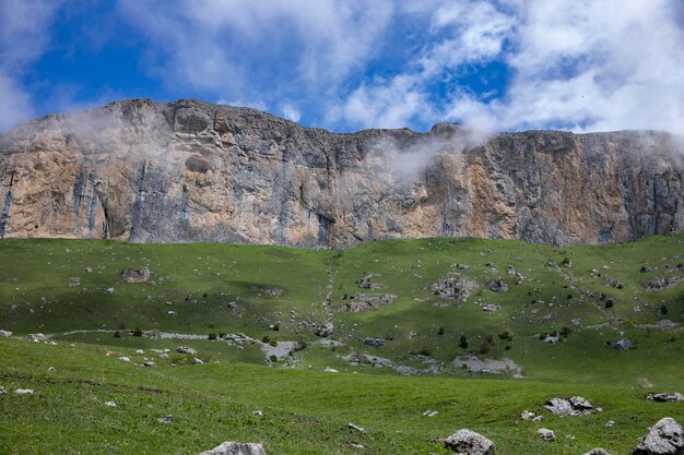 Summer mountains green grass and blue sky landscape