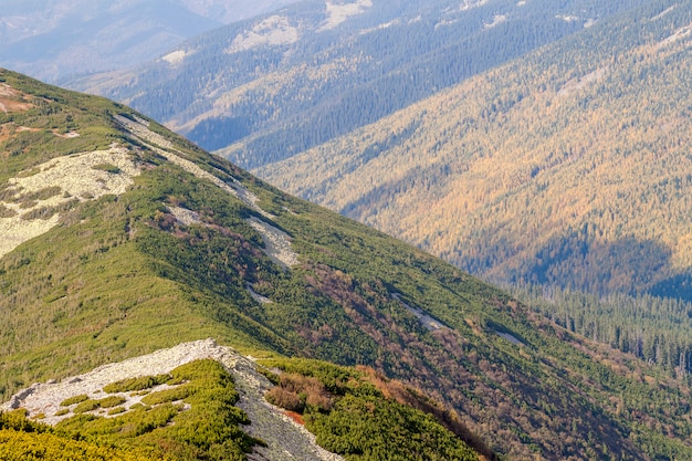 Summer mountains with green grass landscape.