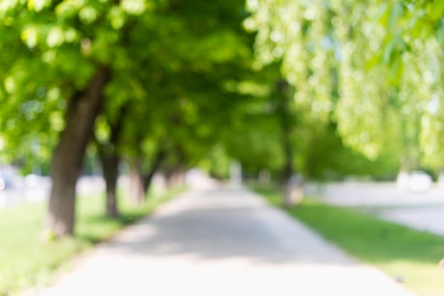 Summer and nature concept. Blurred city street with green trees in city park, urban background. Stock photo