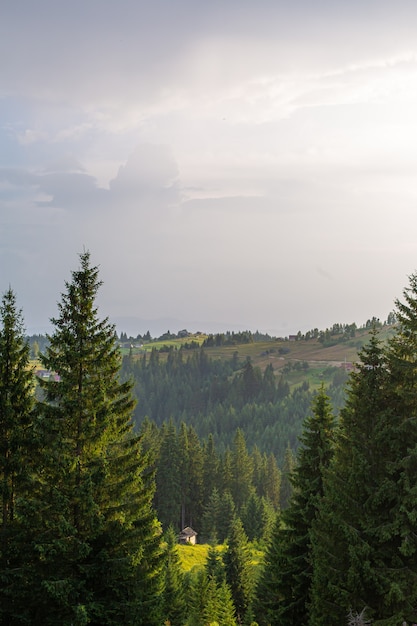 Summer nature landscape of Karpaty Mountains.