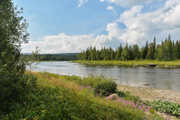 Summer in the Northern Urals