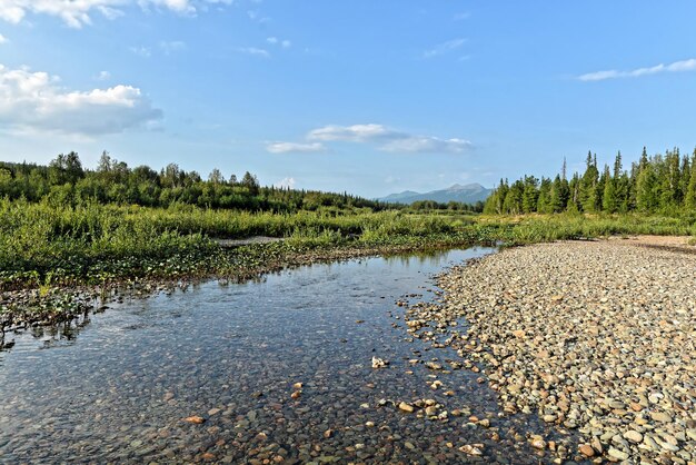 Summer in the Northern Urals