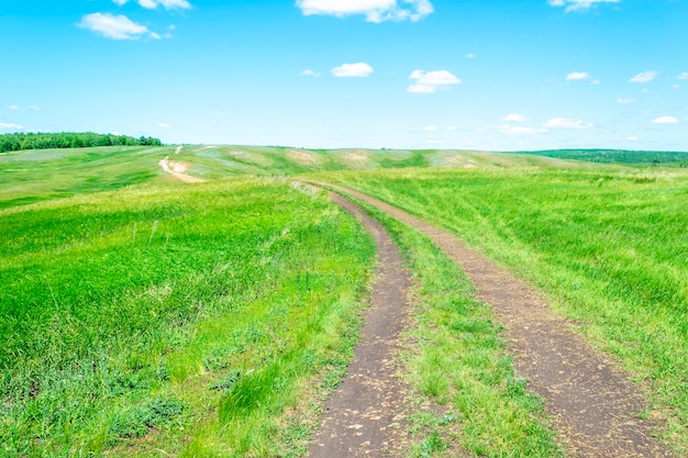 Summer outdoor green grass field with road path