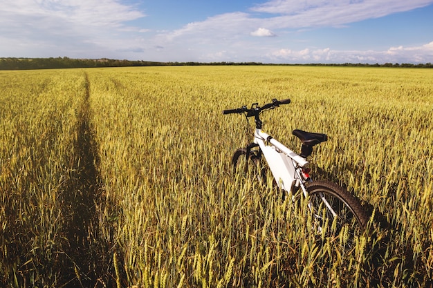 金の小麦畑で夏の屋外写真電動自転車