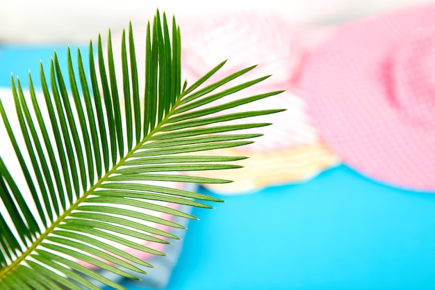 Summer outfit blurred. tropical palm leave