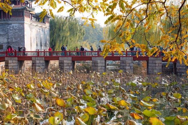 Photo the summer palace of the longevity hill and kunming lake