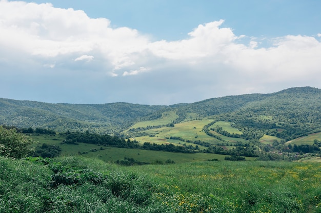 Summer panorama of mountains in the Carpathians