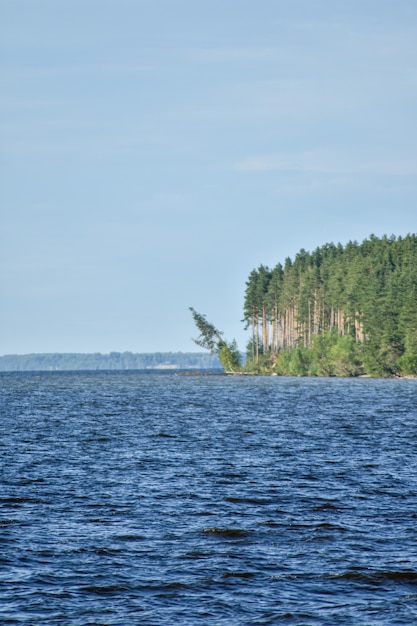 summer panorama of the Volga River