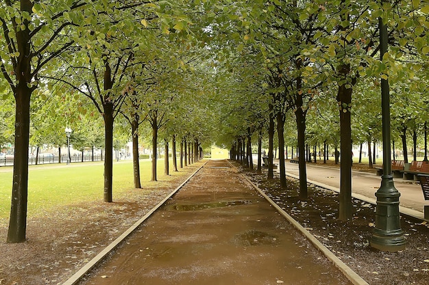 Paesaggio del parco estivo / vista stagionale, alberi verdi in estate, passeggiata nella natura del concetto, ecologia, eco