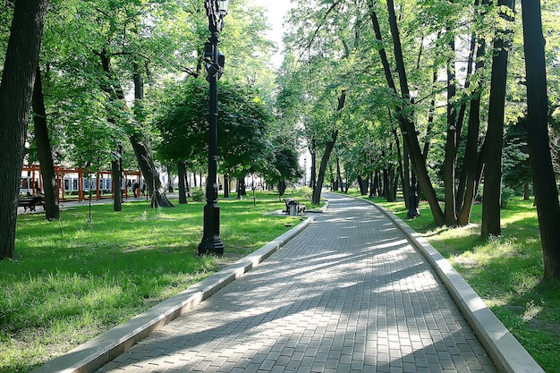 여름 공원 풍경 / 계절 전망, 여름의 푸른 나무, 개념 자연 산책, 생태학, 에코