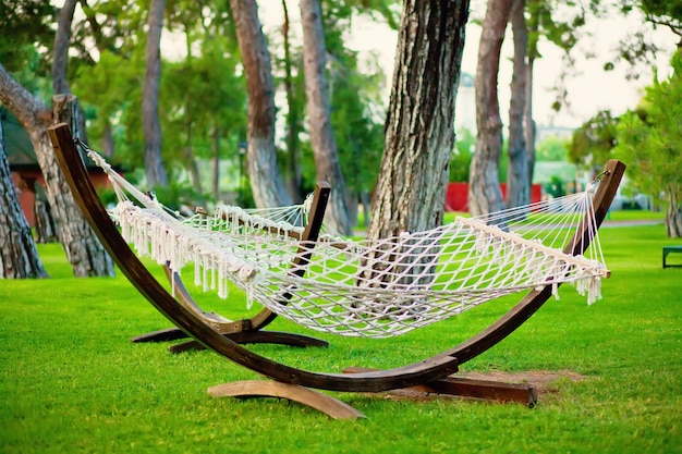 Summer park with hanging hammock for relaxation.