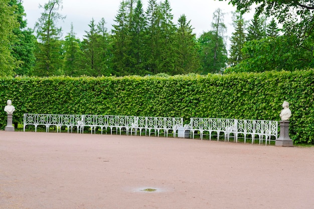 Summer park with white benches and footpaths