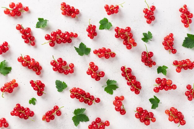 Summer pattern of red currant with green leaves