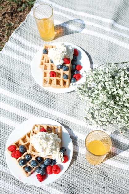 Summer picnic setting