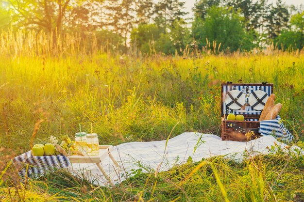 Summer picnic at sunset. a beautiful equipped picnic area with\
all the accessories. a wicker picnic box, a white blanket and\
various fruits. sunlight