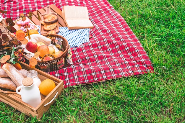 Summer picnic with a basket of food on blanket in the park free space for text