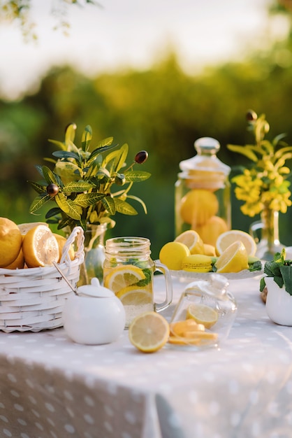 Summer picnic with lemonade and macaroons