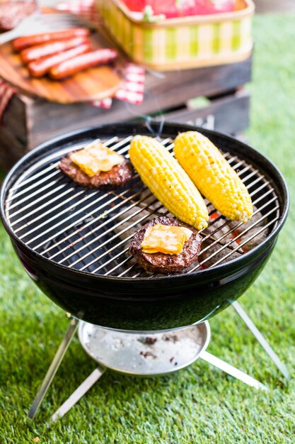 公園で小さな炭火焼きを使った夏のピクニック。