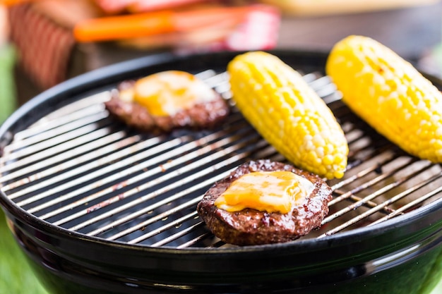 公園で小さな炭火焼きを使った夏のピクニック。