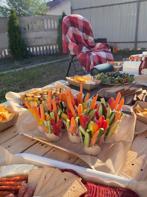 Summer picnic with vegetables in the backyard