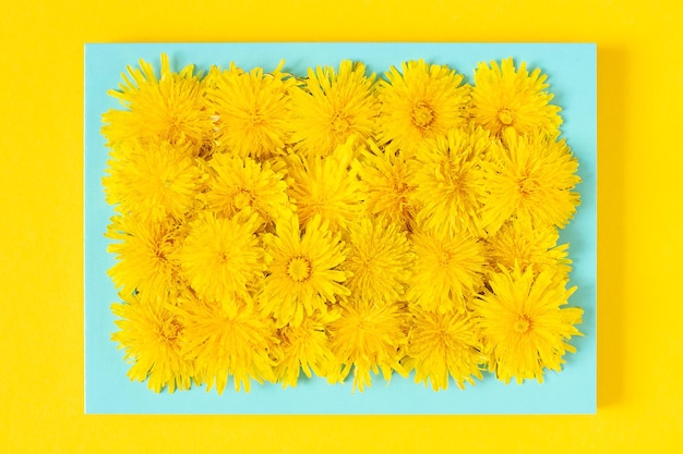 Summer picture Blue frame with yellow dandelions flowers on yellow background Creative summer time concept Top view Flat lay