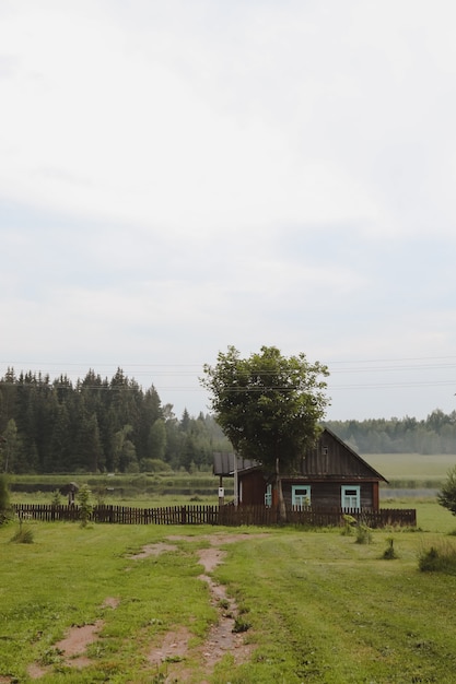 Summer picturesque rural landscape with a wooden country farmhouse