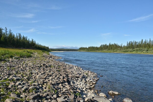 Summer in the Polar Urals the river Sob