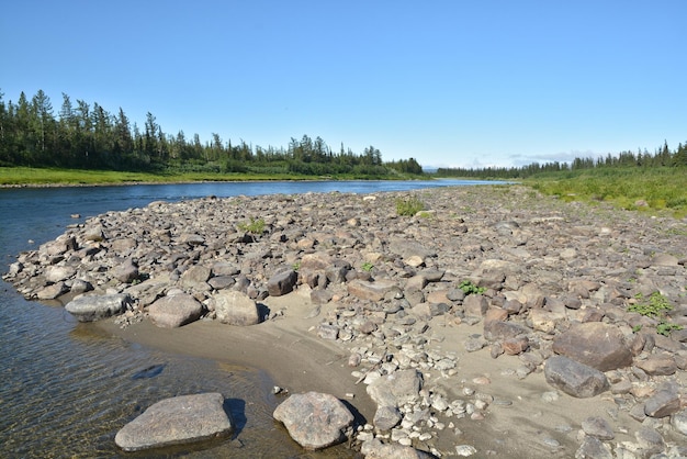 Summer in the Polar Urals the river Sob