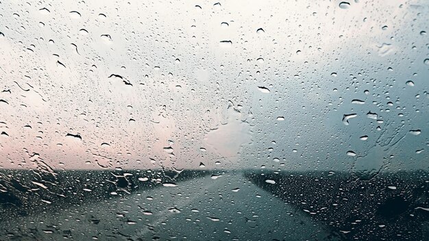 夏の雨 水滴 雨の日