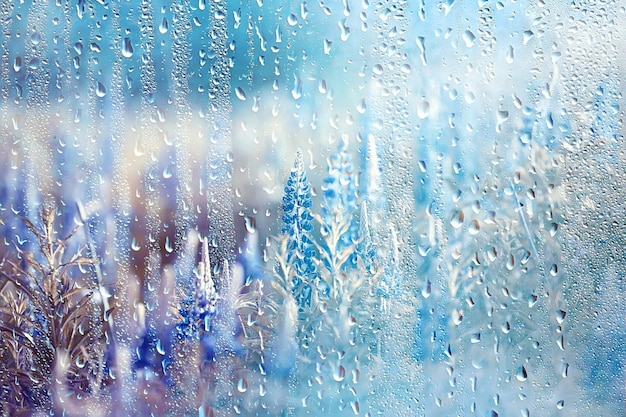 summer rain wet glass / abstract background landscape on a rainy day outside the window blurred background