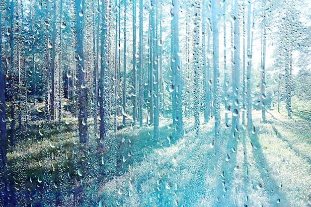 summer rain wet glass / abstract background landscape on a rainy day outside the window blurred background