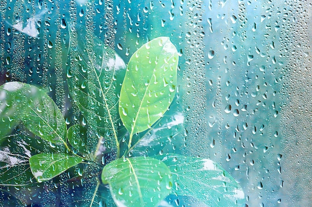 летний дождь мокрое стекло / абстрактный фон пейзаж в дождливый день за окном размытый фон