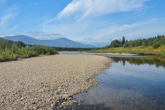 Summer river taiga landscape