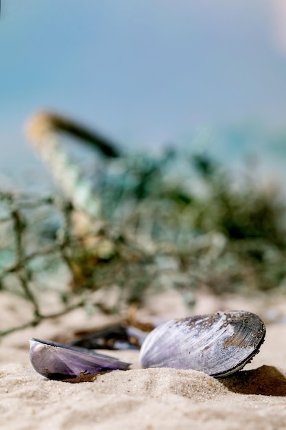 Spiaggia estiva di sabbia con onde e reti da pesca