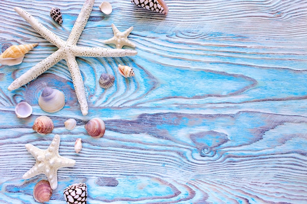 Summer sea background - shells, star on a wooden blue background with copy space