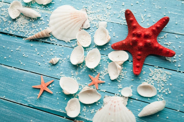 Summer sea background shells star on a wooden blue background