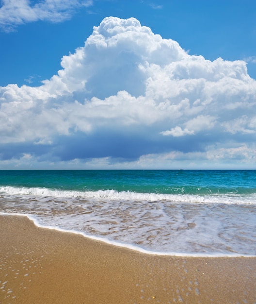 Summer on the sea beach