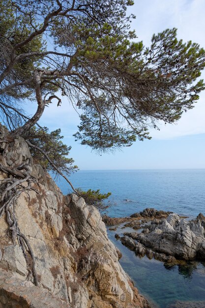 Foto la vista estiva della costa rocciosa di lloret de mar in spagna