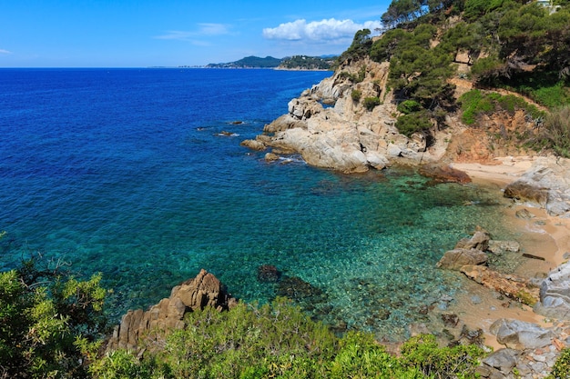 針葉樹とビーチカタルーニャスペインと夏の海の岩の多い海岸の景色