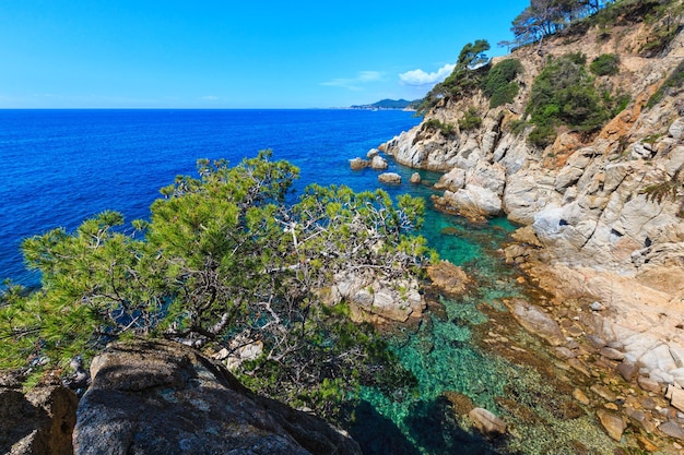 松の木が正面にある夏の海の岩の多い海岸の景色（カタルーニャ、コスタブラバ、スペイン）。