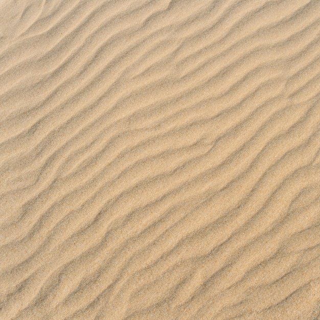 Summer sea sand texture seamless sun