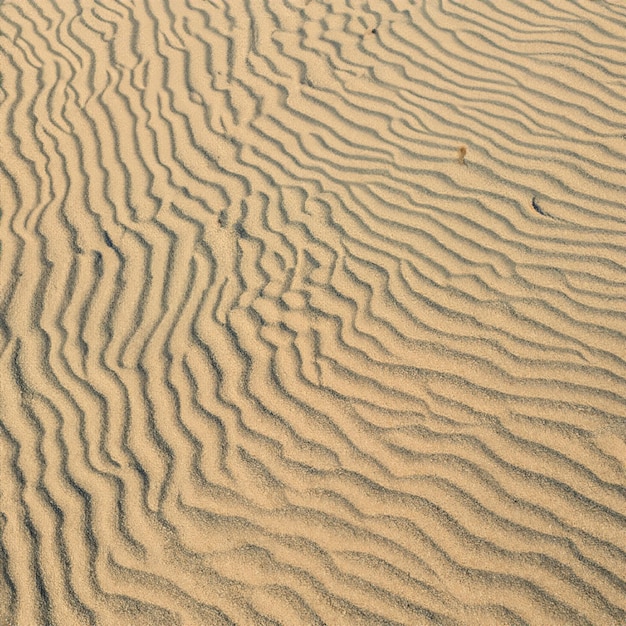 夏の海砂のテクスチャのシームレスな太陽