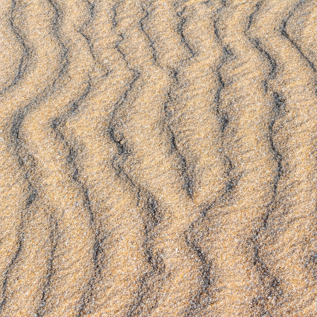 Photo summer sea sand texture seamless sun