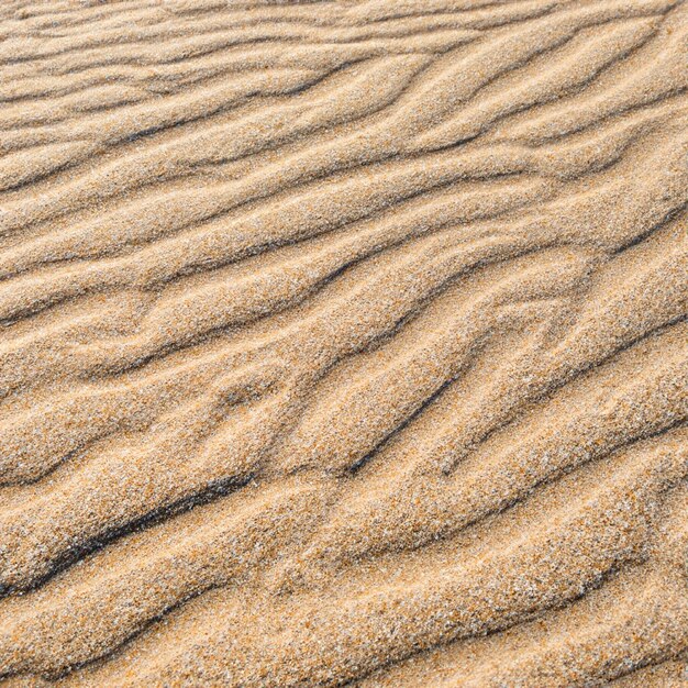 Summer sea sand texture seamless sun