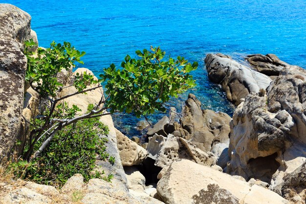 청록색 투명한 물이 있는 여름 바다 풍경. 해안 (Sithonia, Halkidiki, 그리스)에서 보기.