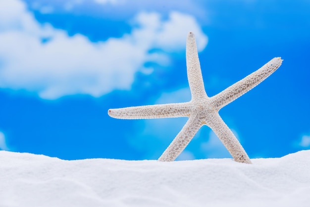 summer season on the beach with blue sky